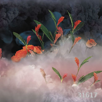 Mystery in the fog