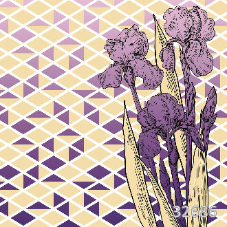 Iris purple
