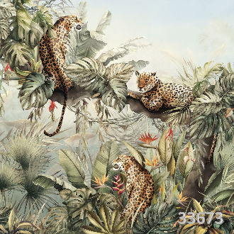 Leopards