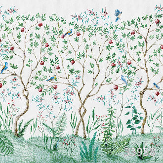 Pomegranate grove