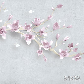 Cherry blossoms